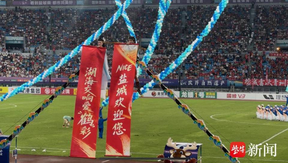 Ty, 紫牛新闻见, 裙的