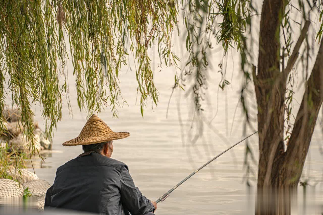 网捞过了, 箭牌, entit 网捞过了, 箭牌, entit