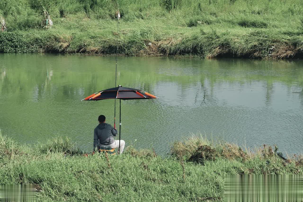 腥的, img, 太轻了 腥的, img, 太轻了